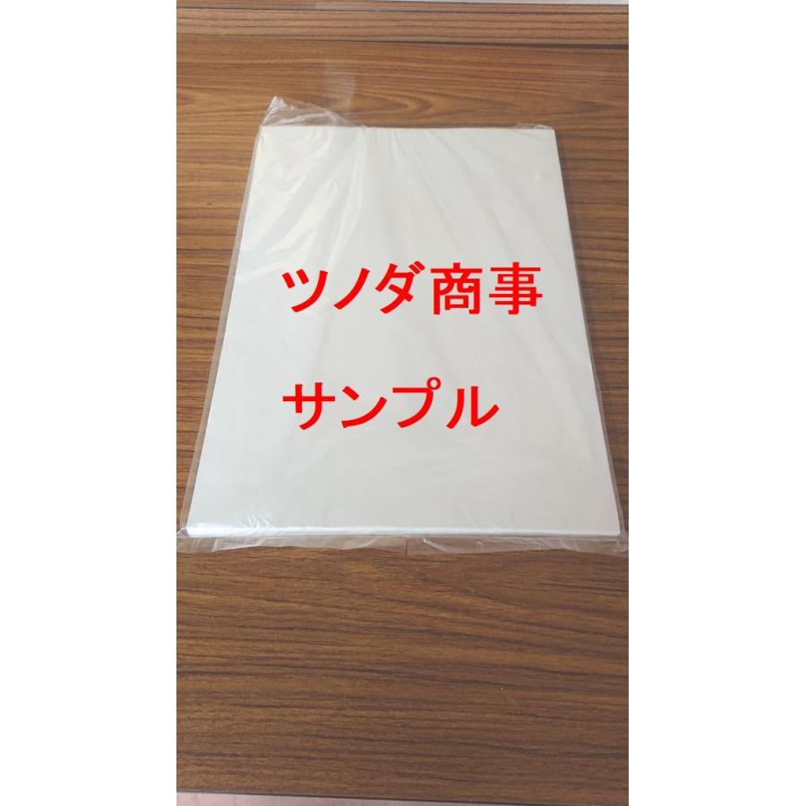 書道半紙 漢字用 白虎 清書用 （100枚入り） : ツノダ商事ヤフー店