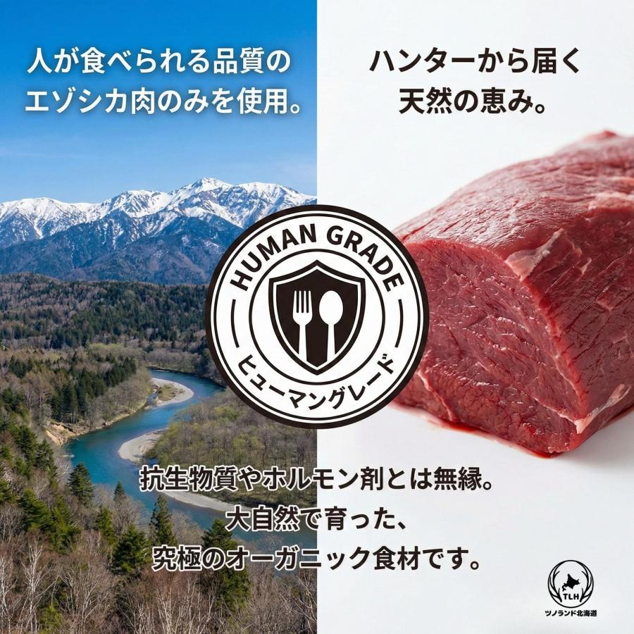 エゾシカジャーキー 60g 犬 おやつ 鹿 鹿肉 天然 無添加 北海道産