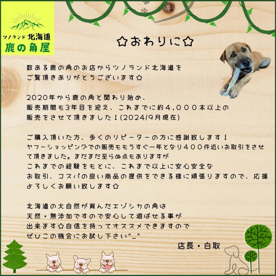 鹿の角　大　6本 小型犬用 鹿の角 Sサイズ角先大1本 ガジガジくん 犬のおもちゃ