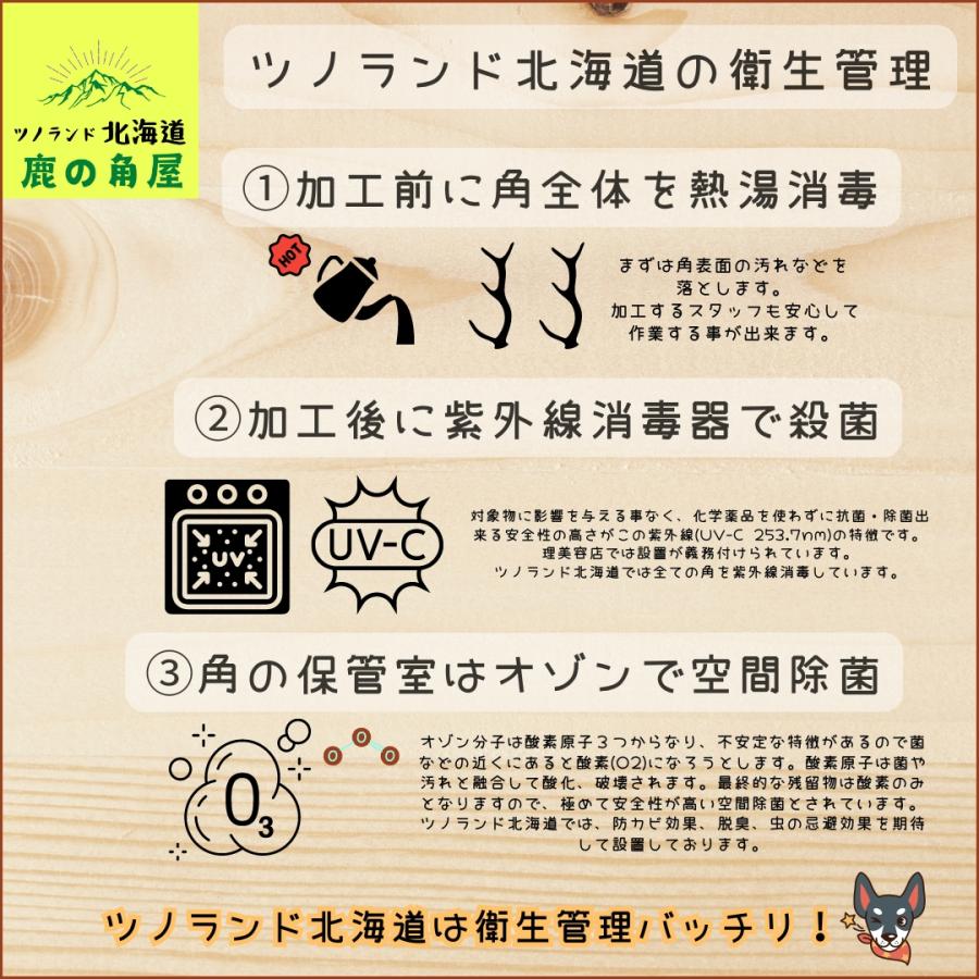 小型犬用 鹿の角 Sサイズ角先中1本 ガジガジくん 犬のおもちゃ