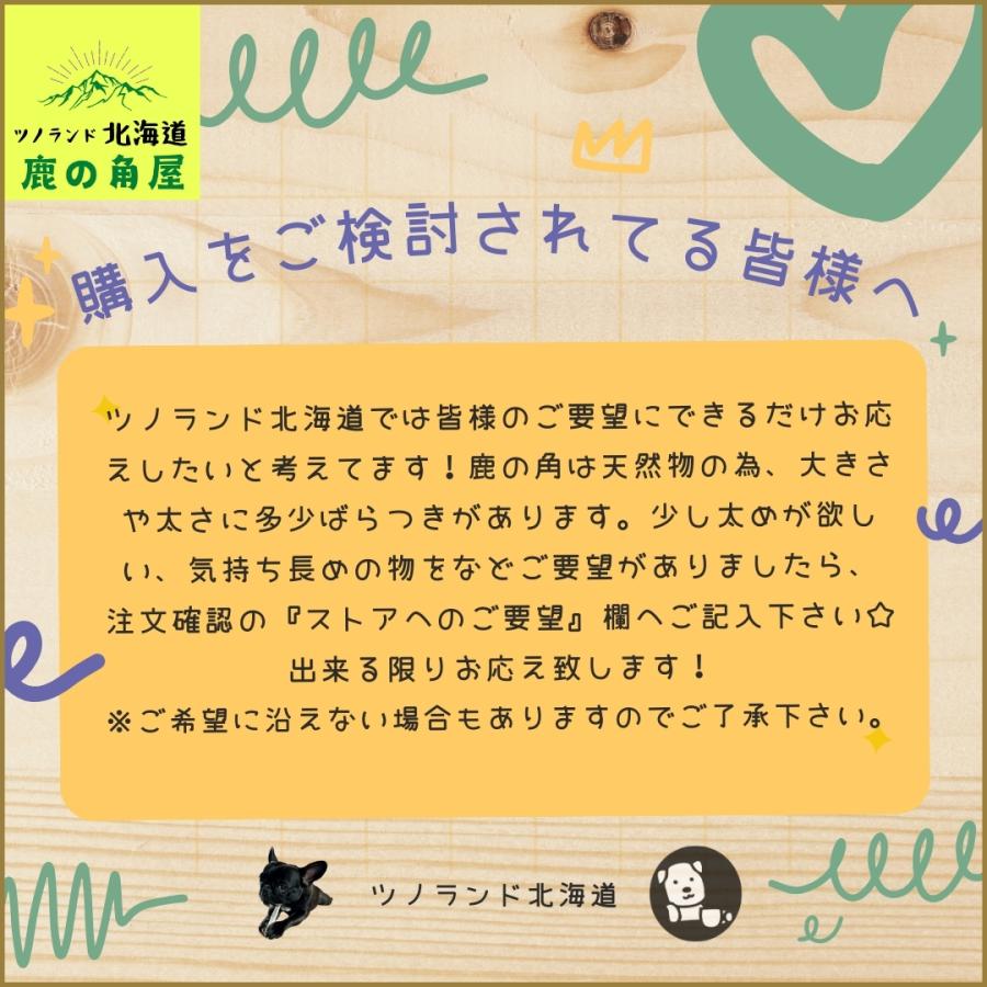 小型犬用 鹿の角 Sサイズ角先中1本 ガジガジくん 犬のおもちゃ