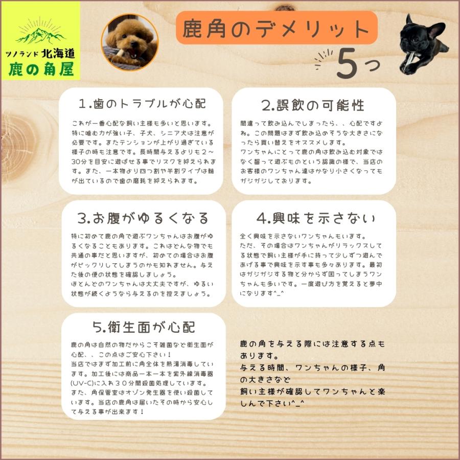 小型犬用 鹿の角 Sサイズ角先小1本 ガジガジくん 犬のおもちゃ  