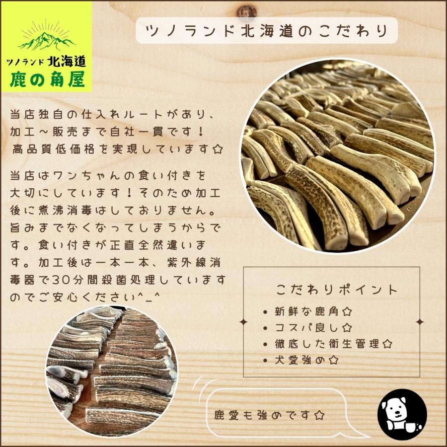 小型犬用 鹿の角 Sサイズ角先小1本 ガジガジくん 犬のおもちゃ
