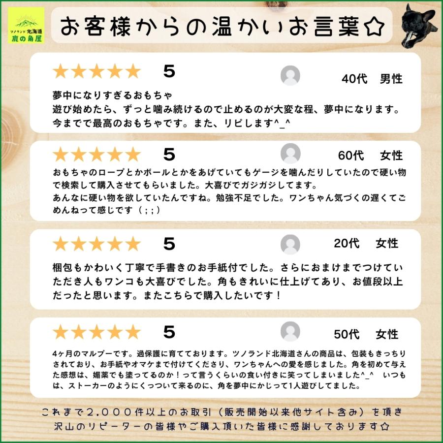 小型犬用 鹿の角 Sサイズ四つ割2本セット ガジガジくん 犬のおもちゃ