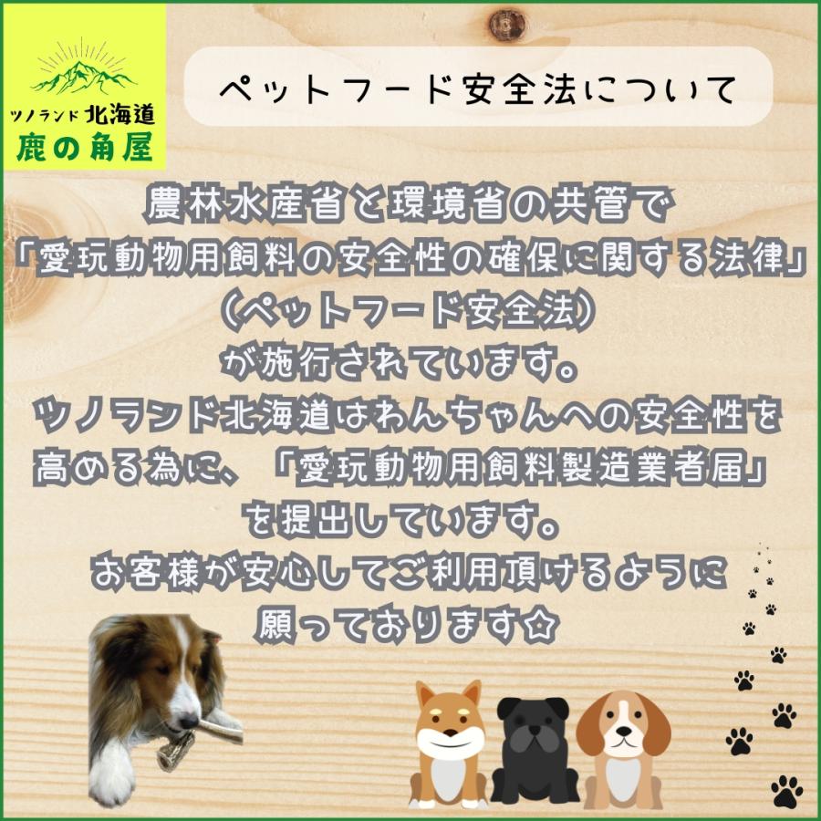 小型犬用 鹿の角 Sサイズ四つ割2本セット ガジガジくん 犬の