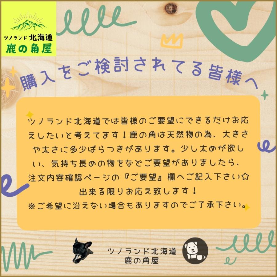 小型犬用 鹿の角 Sサイズ四つ割2本セット ガジガジくん 犬のおもちゃ