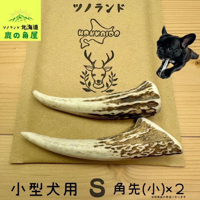 小型犬用 鹿の角 Sサイズ角先小2本セット ガジガジくん 犬のおもちゃ