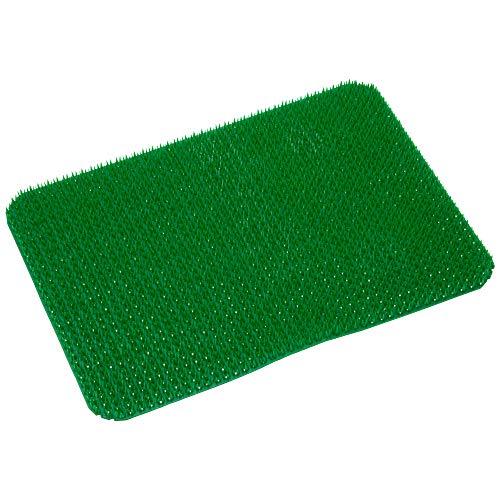 ストアチュラロンコン遠藤商事 業務用 肉芝b型 大用 緑 Eva樹脂 日本製 Api08 爆買い送料無料