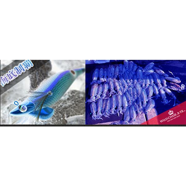 SQUID MANIA（スクイッドマニア） WILD CHASE B-TR 3.5号 30g ティッ