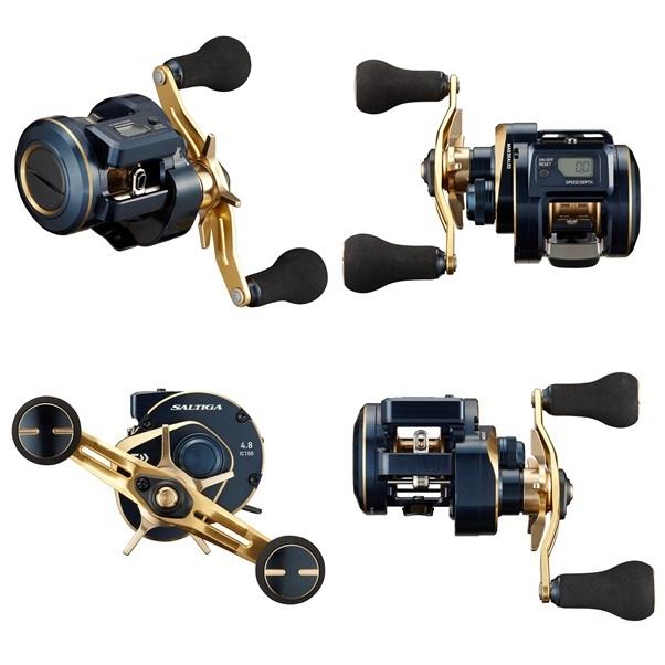 ダイワソルティガic100PL-DH