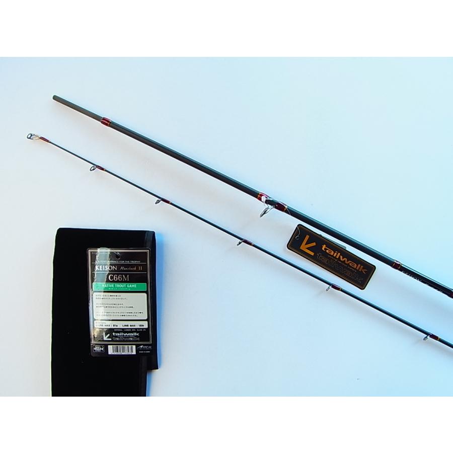 特価 テイルウォーク C66M ケイソン ランズバックII C66M tailwalk 