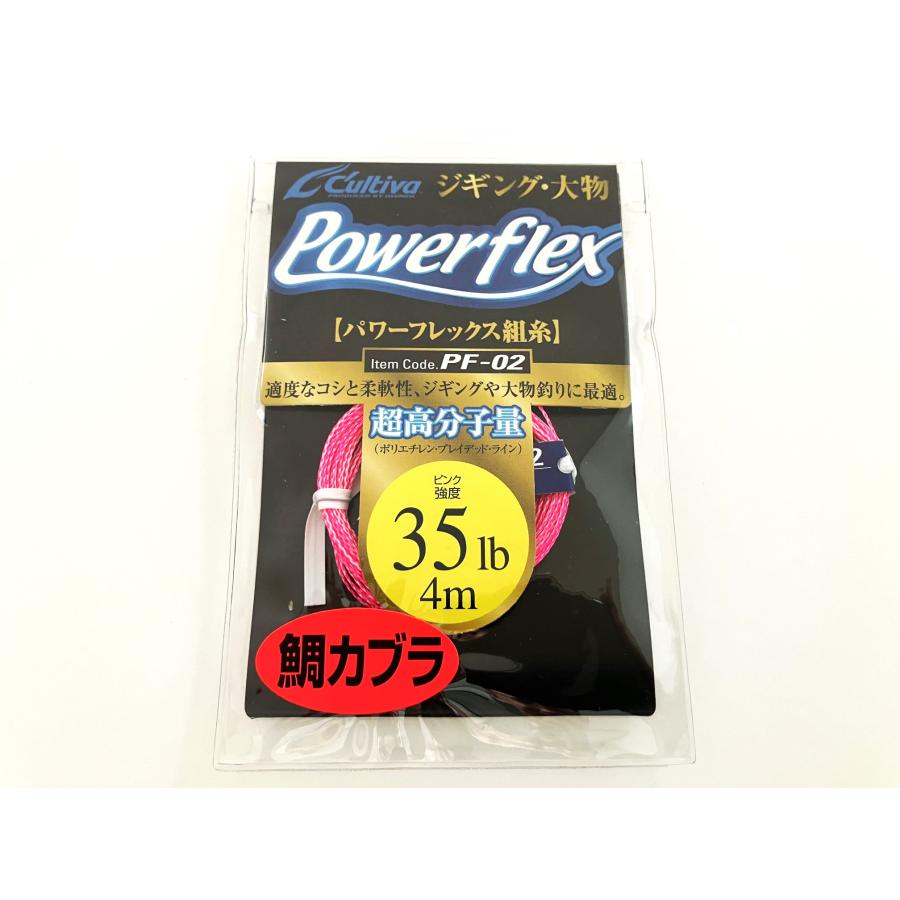 【極美品！】わるいオーダイル & わるいハッサム 2枚セット PT-300.jpg