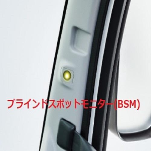 トラックストップ ターン 王朝 金華山ピラーカバー ファイブスターギガ