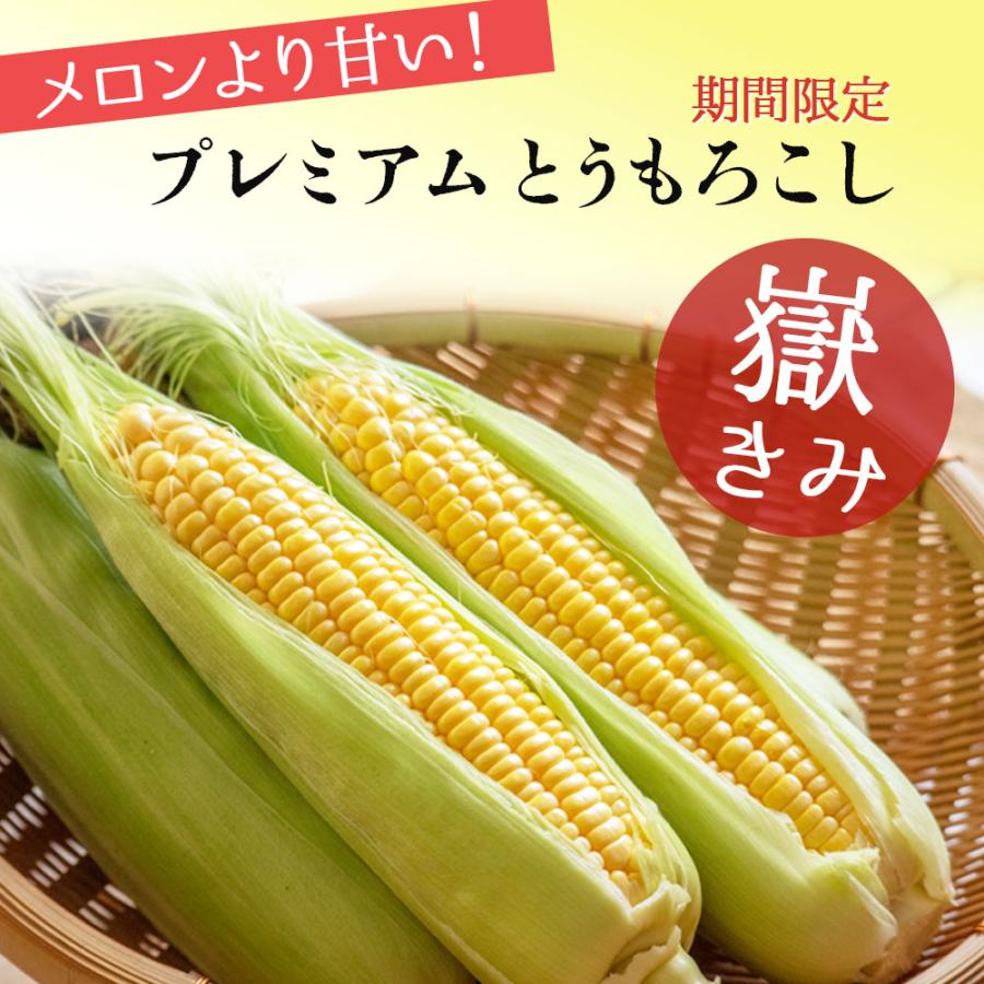 嶽きみ　とうもろこし 嶽きみ だけきみ トウモロコシ とうもろこし コーン 10本入り
