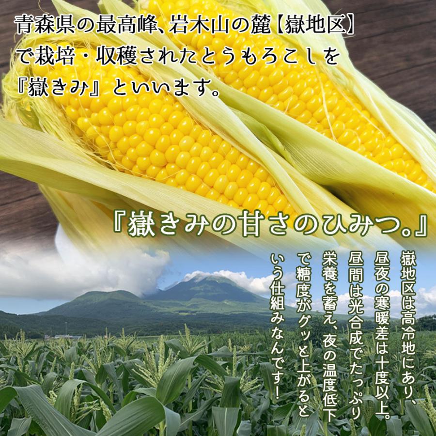 嶽きみ だけきみ トウモロコシ とうもろこし コーン 10本入り