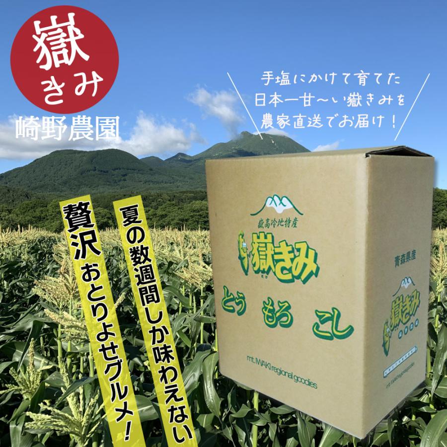 嶽きみ だけきみ トウモロコシ とうもろこし コーン １０本入り 青森県産 M/Lサイズ 秀品 産地直送 ブランド品種 甘い おいしい 期間限定｜turquoise-moon｜07