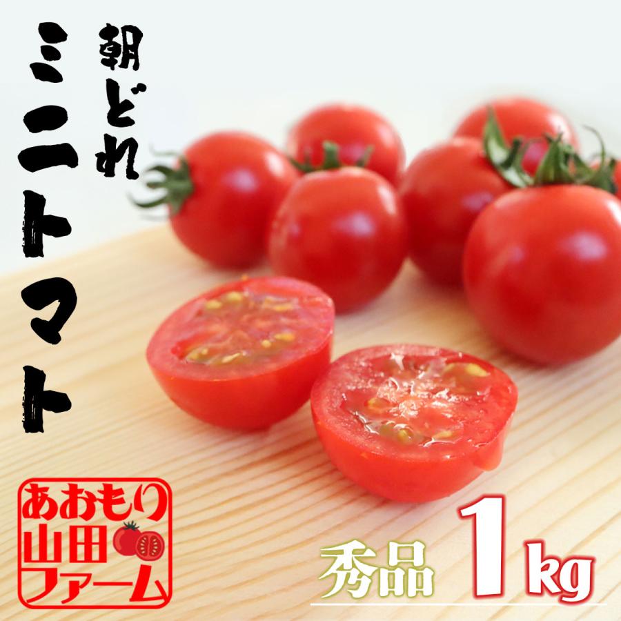 【朝どれ 直送 数量限定出荷】ミニトマト １キロ トマト 秀品 高糖度 青森県産 サンチェリーピュア フルーツトマト 農家 産地直送 期間限定  数量限定 敬老の日 : mini-5pac : Blue Topazs - 通販 - Yahoo!ショッピング