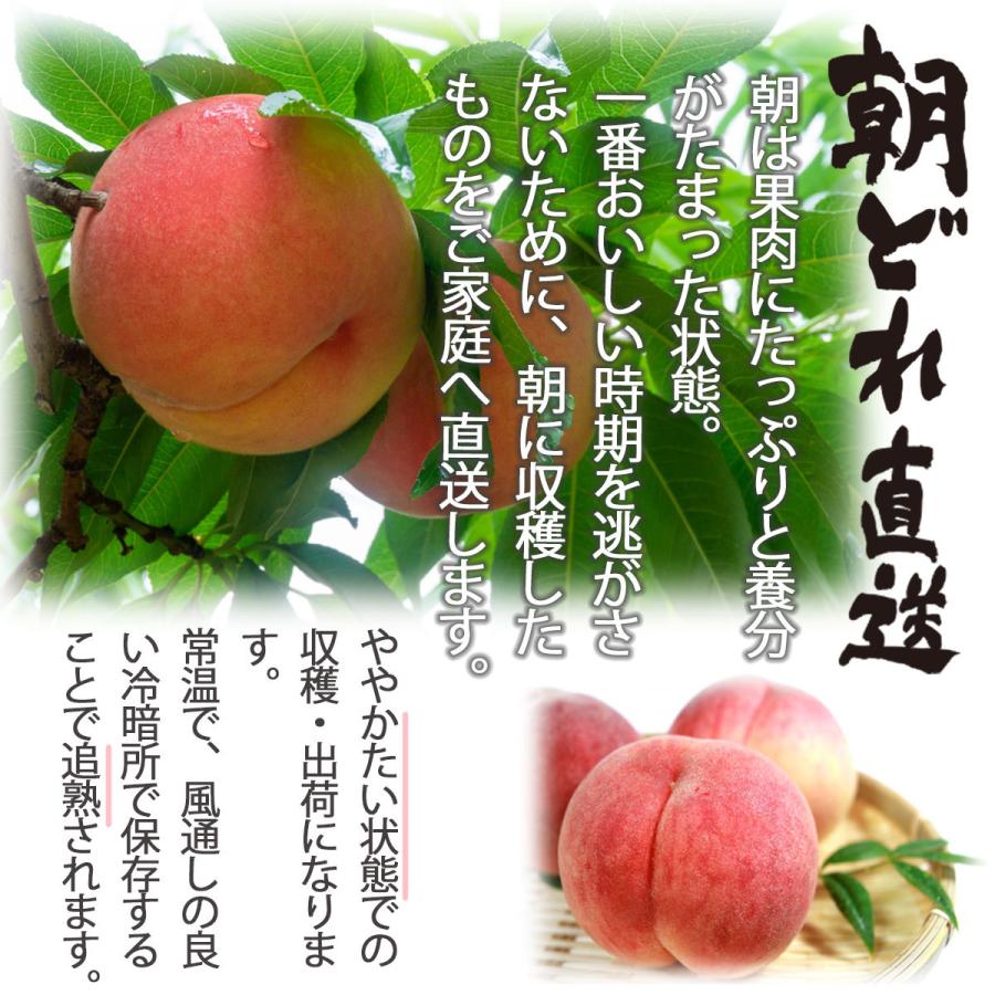 桃 Momo モモ 送料無料 白桃 秀品 22年 青森県産 約１ ５キロ 朝どれ 直送 産地直送 贈答 のし無料 Mo S1 Blue Topazs 通販 Yahoo ショッピング