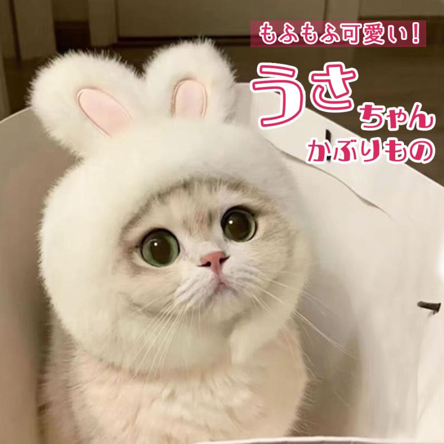 うさ耳帽子 コスプレ バニーキャップ ペット 猫 変装 ブルー イベント 可愛いうさちゃんに変身】猫 犬 被り物 ペット用 かわいい コスプレ