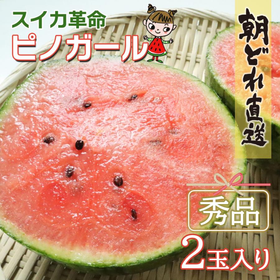 【青森産 農家直送】小玉スイカ ピノガール 秀品 5〜6玉 約9kg TVやSNSで話題のスイカ】スイカ ピノガール 小玉スイカ 秀品 2玉入 約