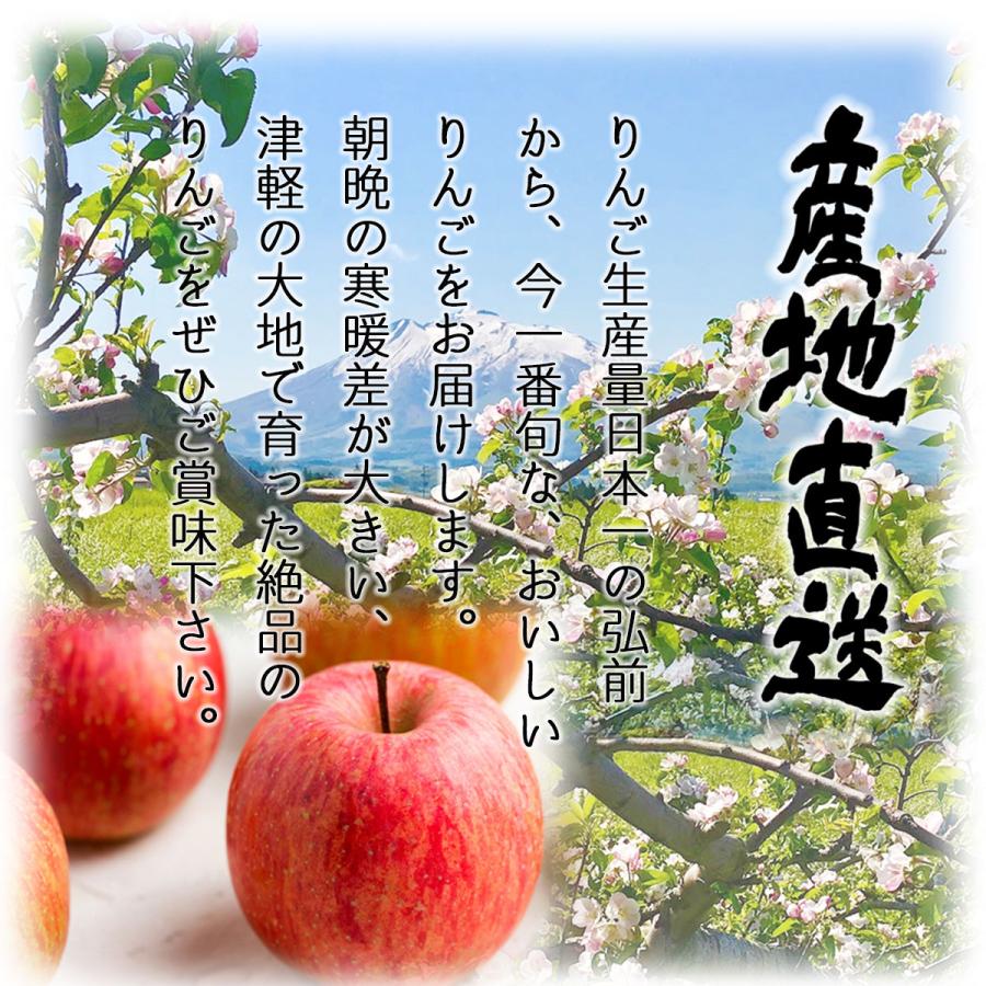2025年産 青森県産りんご ご家庭用 訳あり サンふじ 10kg (約32玉〜50