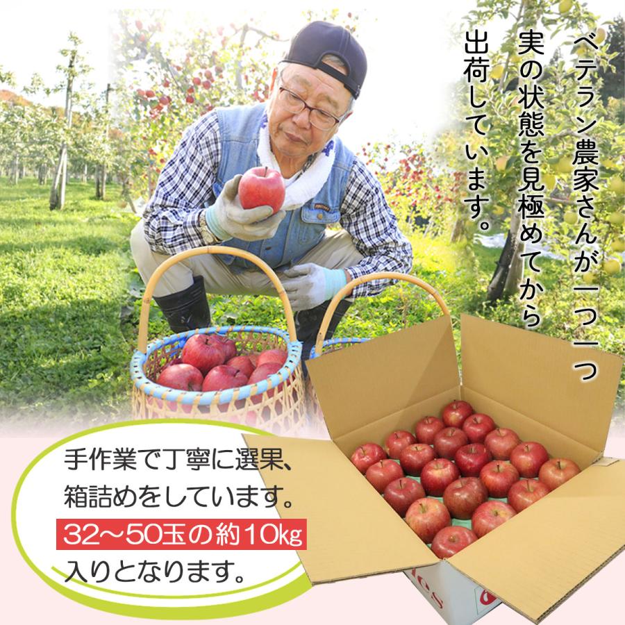 2025年産 青森県産りんご ご家庭用 訳あり サンふじ 10kg (約32玉〜50
