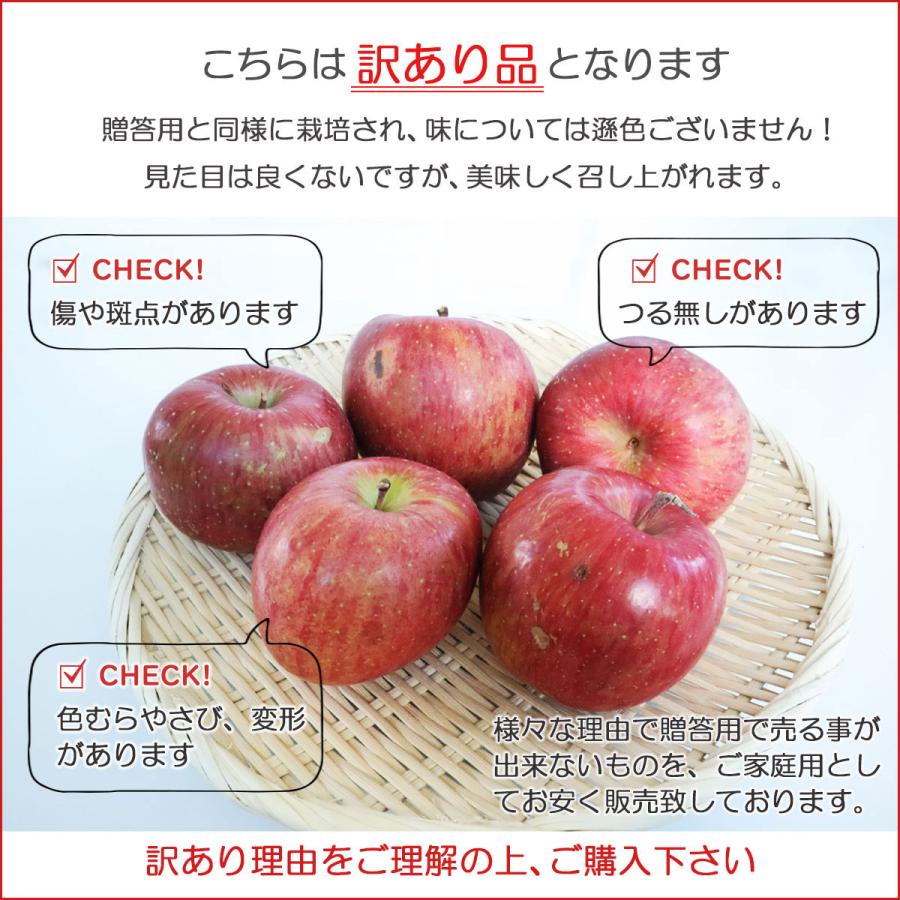 2025年産 青森県産りんご ご家庭用 訳あり サンふじ 10kg (約32玉〜50