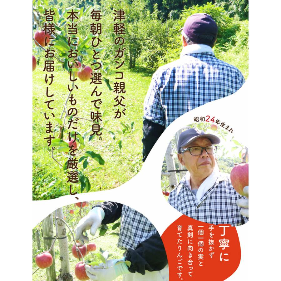 りんご 王林 3kg （約8玉〜14玉入り）2023年産 青森県産りんご ご家庭用 訳あり 産地直送 工藤農園｜turquoise-moon｜05