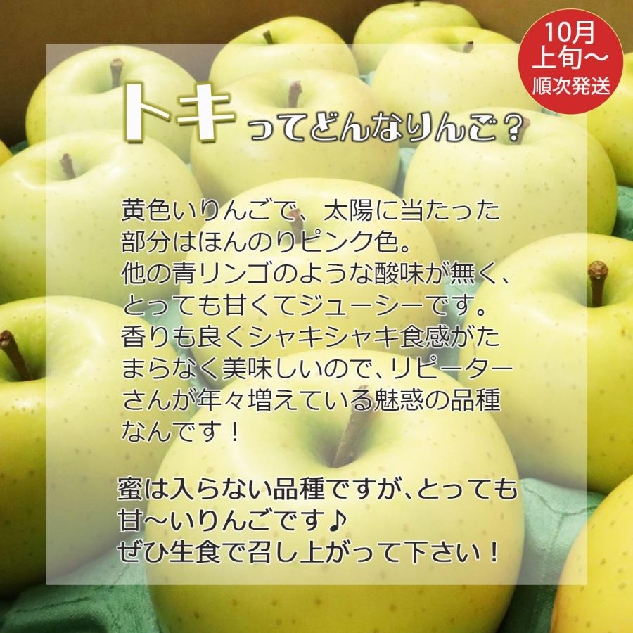 りんご リンゴ 林檎 ringo 数量限定 2025年産 青森県産りんご 青森りんご ご家庭用 訳あり トキ 10kg (約32玉〜50玉入り ...