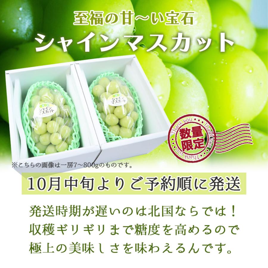 先行予約】シャインマスカット 2房 約1.4キロ 秀品 贈答 青森県