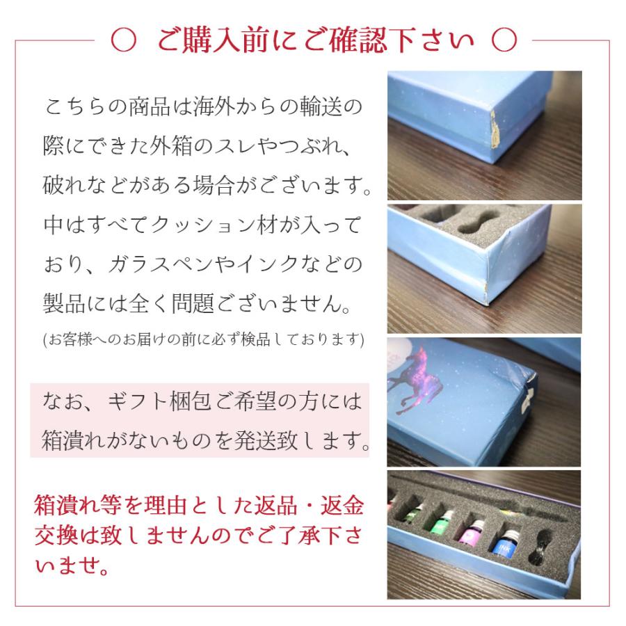 ガラスペン インク5色・ペン置きセット 万年筆 手紙 便箋 イラスト