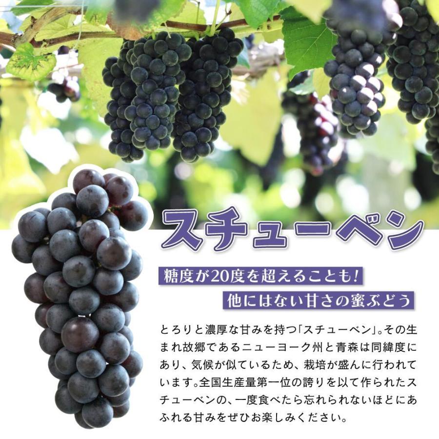 【ひなこ】青森県津軽地方産ぶどう　スチューベン　約２０キロ前後　自家加工用 ひなこ様専用】青森県津軽地方産ぶどう スチューベン 約20キロ