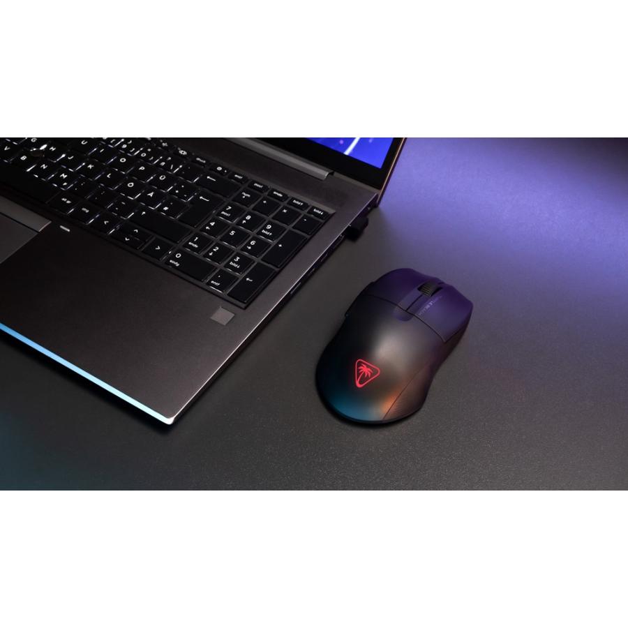 TURTLE BEACH（タートルビーチ） 7/31までSALE！TURTLE BEACH