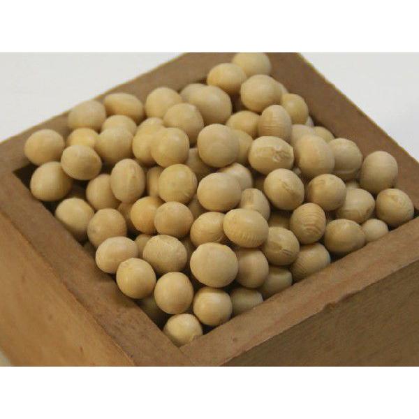 令和7年北海道産大豆 とよまさり 大粒( 2.6上) 1升（1.35Kg） : 山田