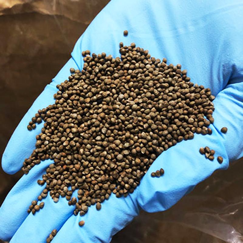 エゴマ（じゅうねん） じゅうねんみそ（会津産えごま使用） - 道の駅からむし織の里しょうわ