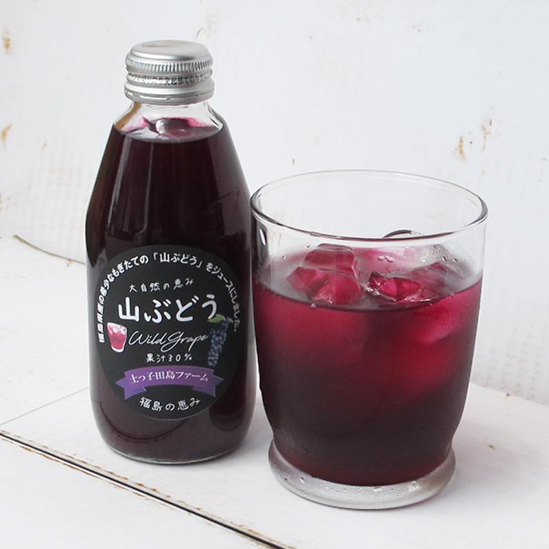 てっちゃん　山葡萄ストレートジュース 山葡萄ジュース 山形産 無添加 600ml ストレート果汁 | 山形の