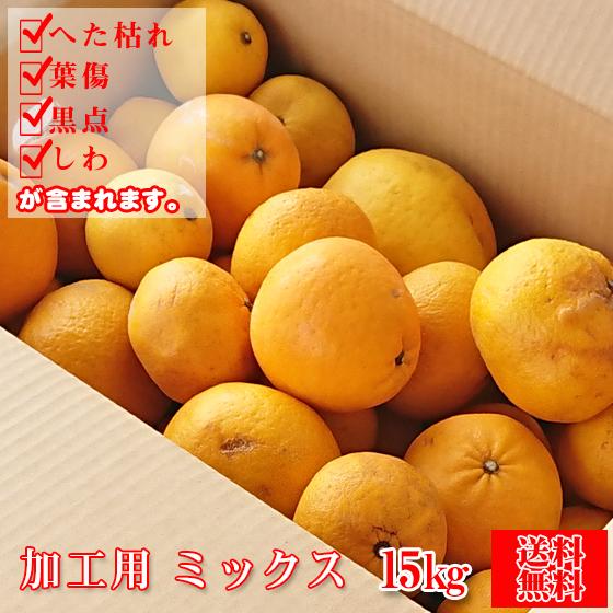 加工用ミックス　15kg（加工mix 15）（ジュース、ゼリー用、サイズ無選別・傷・黒点・ヘタ枯れ・ヤケ・シワ等が含まれます。）（Yahoo!・フレッシュ つちやま）