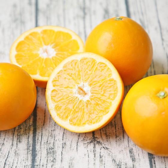 ダイヤオレンジ -大谷伊予柑- 5kg (daiya 05) (多少の枝傷・葉傷・黒点