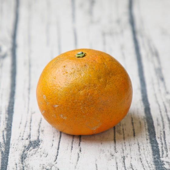 ダイヤオレンジ -大谷伊予柑- 5kg (daiya 05) (多少の枝傷・葉傷・黒点