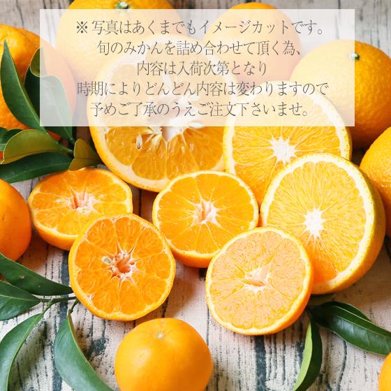 みかん 吉田みかん詰合せファミリーセット 7kg f07 家庭用 吉田