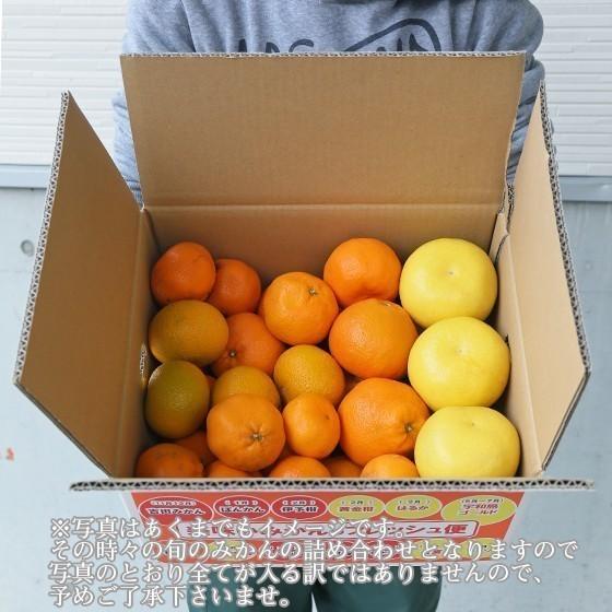 みかん 吉田みかん詰合せファミリーセット 7kg f07 家庭用 吉田