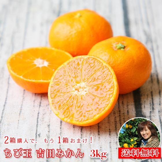 Fちび吉 03 ちび玉吉田みかん 3kg 2箱購入でもう1箱おまけ 多少の枝傷 黒点等有 家庭用 3s 2sサイズ込 送料無料 みかん Fchibiyoshidamikan03 フレッシュ つちやま 通販 Yahoo ショッピング
