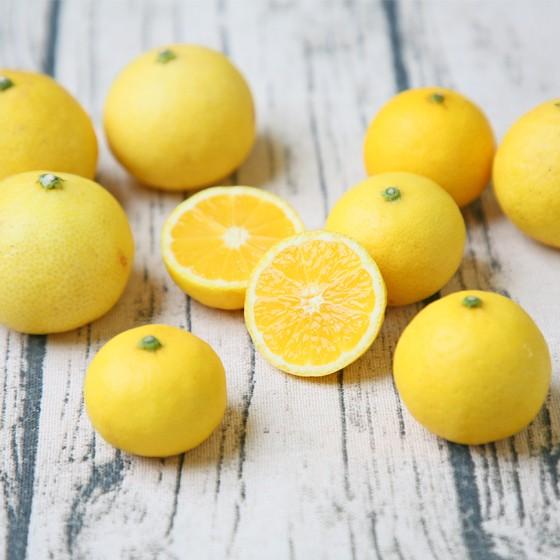 F黄金 02 黄金柑 2kg 多少の枝傷 葉傷 黒点有り 家庭用 大小サイズ込み 送料無料 みかん 吉田みかん 黄金柑 ゴールデンオレンジ うまかゴールド Fougonkan06kg フレッシュ つちやま 通販 Yahoo ショッピング