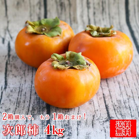 柿 04 次郎柿 4kg 2箱ご購入頂くともう1箱おまけがついて合計3箱でお届け致します 多少の傷等がございます 柿 カキ フルーツ 果物 Jiroukaki04 フレッシュ つちやま 通販 Yahoo ショッピング