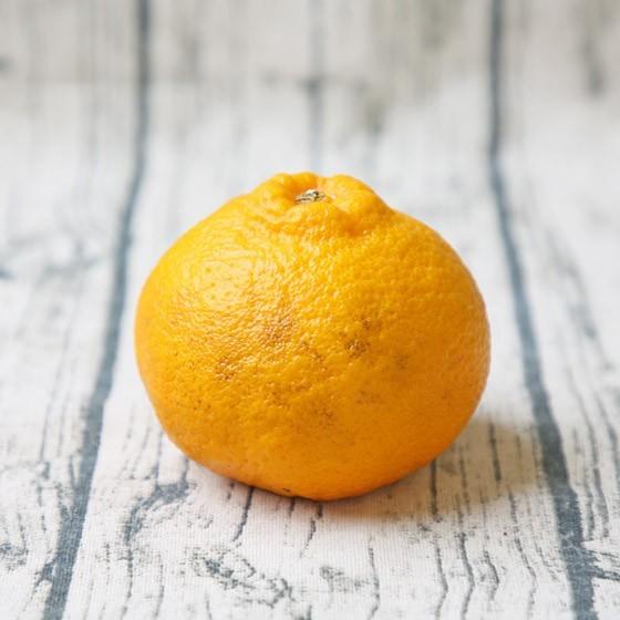 fひめ 08) ひめぽん 8kg (不知火・でこぽんと同品種) (多少の葉傷