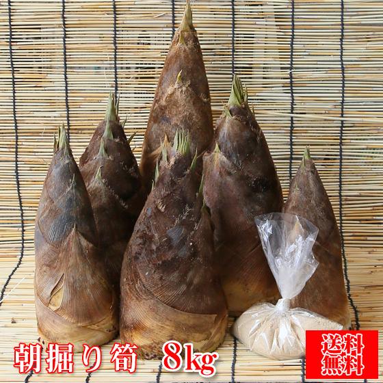 予約販売) 朝掘り筍(たけのこ) 8kg(約8本程) (※アク抜き用 予約販売) 朝掘り筍(たけのこ) 8kg(約8本程) (※アク抜き用
