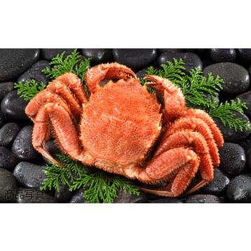 噴火湾産 タラバガニ