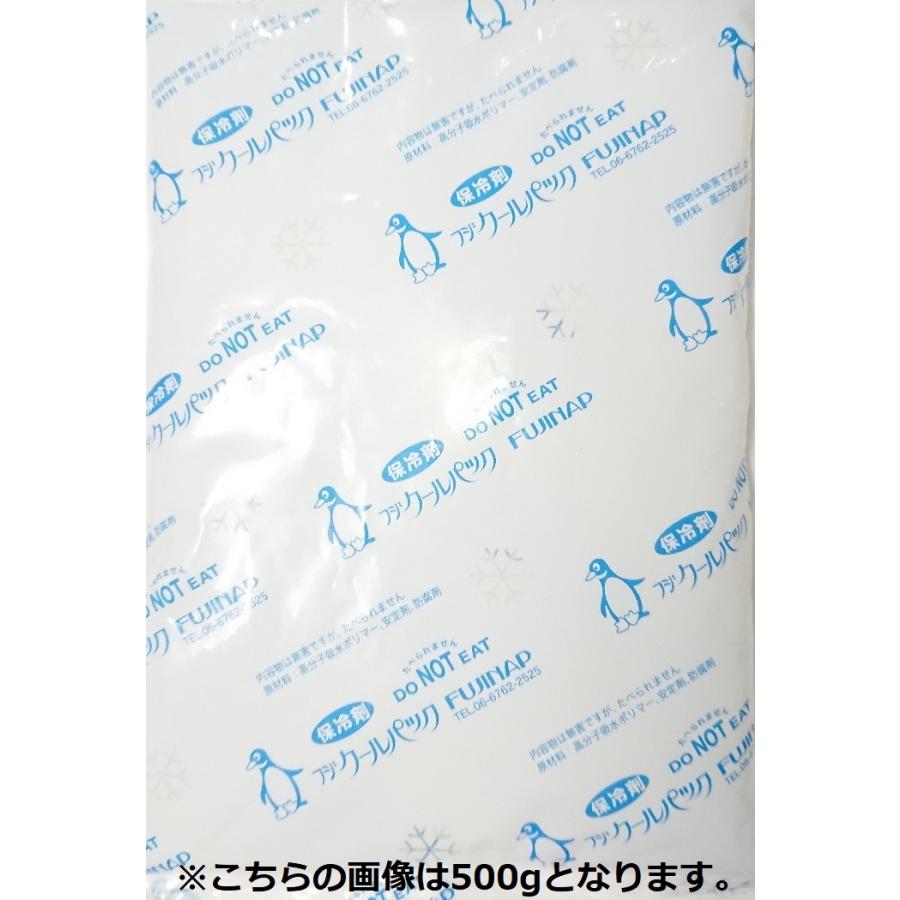 保冷剤 フジクールパック 500g フィルムタイプ (クリックポスト対応品) | 