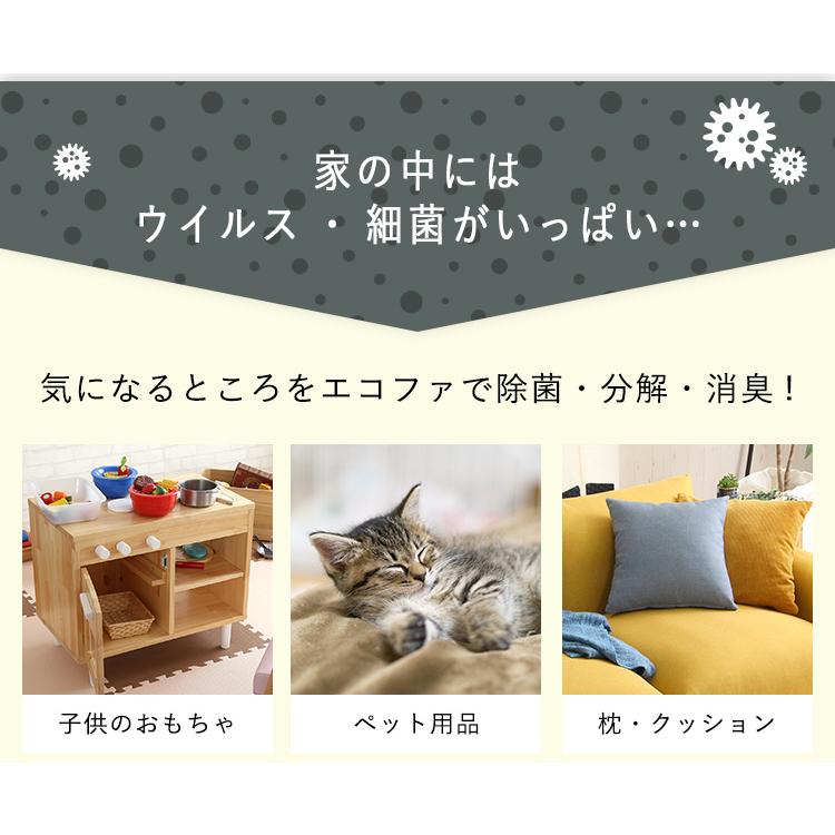 数量限定 エコファ ウィルス・細菌・シックハウス対策スプレー(300mlタイプ)ウィルス、細菌、有害物質の除菌＆分解、抗菌、消臭効果【ECOFUR】24本セット 【3552470241】(22338円)