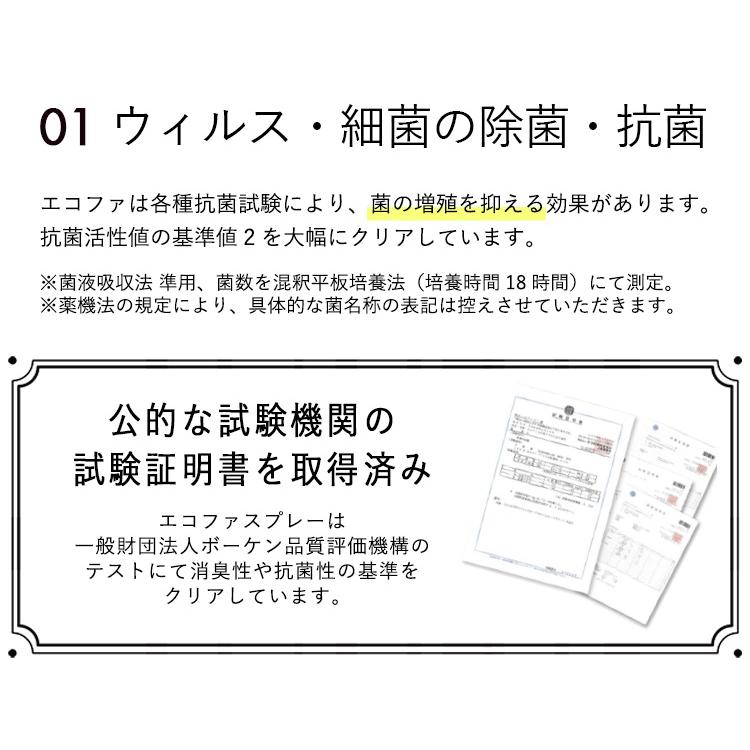 数量限定 エコファ ウィルス・細菌・シックハウス対策スプレー(300mlタイプ)ウィルス、細菌、有害物質の除菌＆分解、抗菌、消臭効果【ECOFUR】24本セット 【3552470241】(22338円)